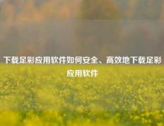 下载足彩应用软件如何安全、高效地下载足彩应用软件