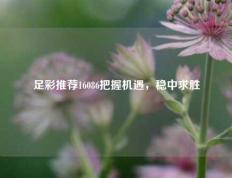 足彩推荐16086把握机遇，稳中求胜