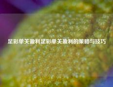 足彩单关盈利足彩单关盈利的策略与技巧