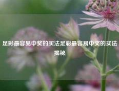 足彩最容易中奖的买法足彩最容易中奖的买法揭秘