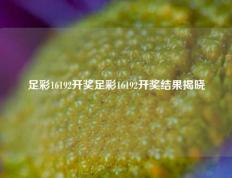 足彩16192开奖足彩16192开奖结果揭晓