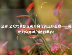 足彩 公众号聚焦足彩开启你的足球盛宴——揭秘公众号里的精彩世界！