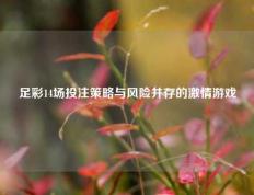 足彩14场投注策略与风险并存的激情游戏