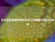 老夫足彩联盟世界杯历史上的辉煌与现代的挑战