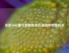 足彩18002盈亏指数如何在波动中把握机会