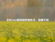 足彩18020期预测把握机会，稳赚不赔