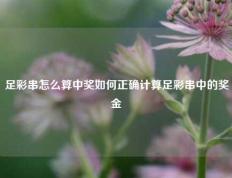 足彩串怎么算中奖如何正确计算足彩串中的奖金
