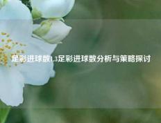 足彩进球数1.3足彩进球数分析与策略探讨