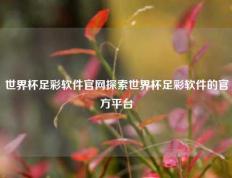 世界杯足彩软件官网探索世界杯足彩软件的官方平台