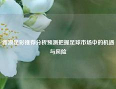 新浪足彩推荐分析预测把握足球市场中的机遇与风险