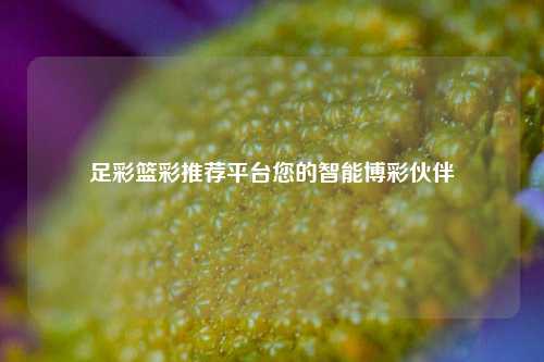 足彩篮彩推荐平台您的智能博彩伙伴
