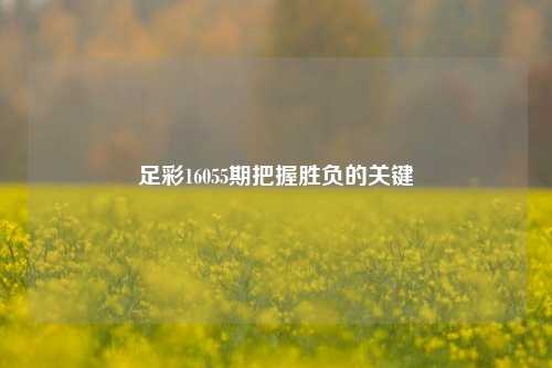 足彩16055期把握胜负的关键