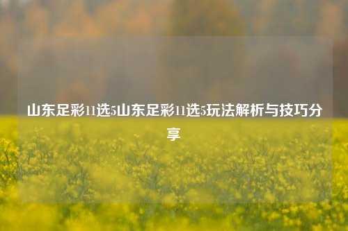 山东足彩11选5山东足彩11选5玩法解析与技巧分享