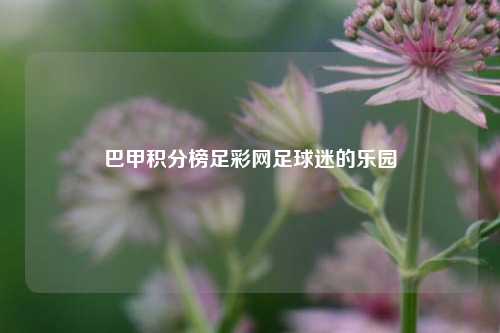 巴甲积分榜足彩网足球迷的乐园