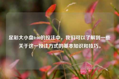 足彩大小盘0:00的投注中，我们可以了解到一些关于这一投注方式的基本知识和技巧。