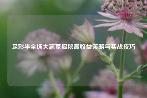 足彩半全场大赢家揭秘高收益策略与实战技巧