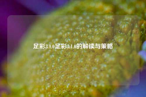 足彩3.1.0足彩3.1.0的解读与策略
