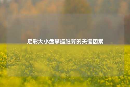 足彩大小盘掌握胜算的关键因素