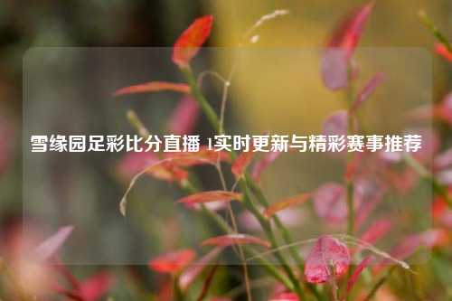 雪缘园足彩比分直播 1实时更新与精彩赛事推荐