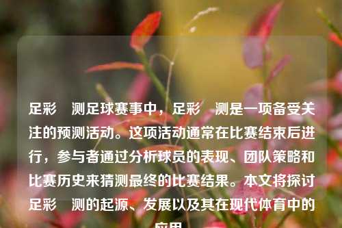 足彩頰测足球赛事中，足彩頰测是一项备受关注的预测活动。这项活动通常在比赛结束后进行，参与者通过分析球员的表现、团队策略和比赛历史来猜测最终的比赛结果。本文将探讨足彩頰测的起源、发展以及其在现代体育中的应用。