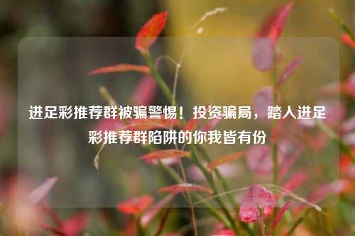 进足彩推荐群被骗警惕！投资骗局，踏入进足彩推荐群陷阱的你我皆有份
