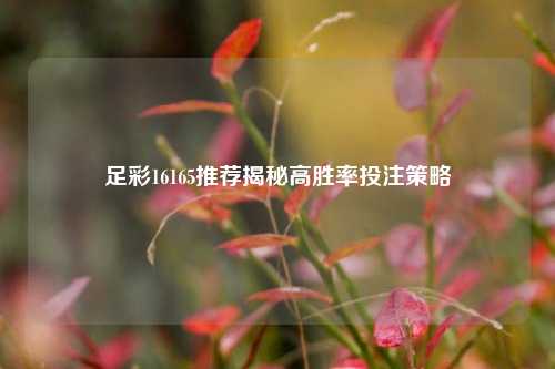 足彩16165推荐揭秘高胜率投注策略
