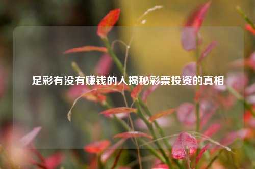 足彩有没有赚钱的人揭秘彩票投资的真相