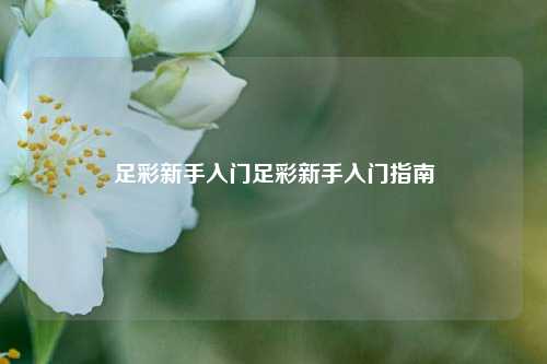 足彩新手入门足彩新手入门指南