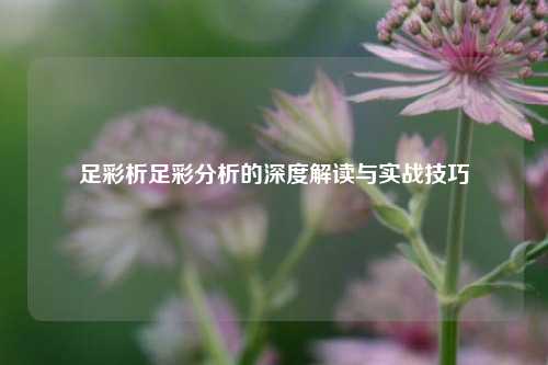 足彩析足彩分析的深度解读与实战技巧
