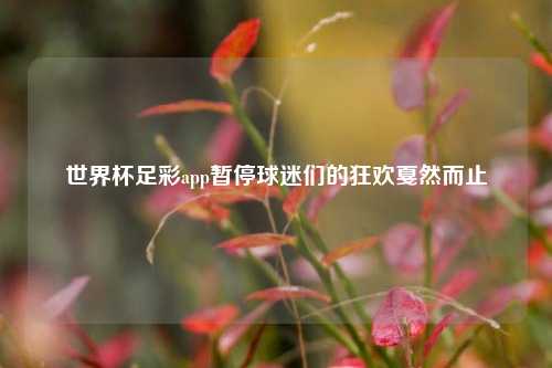 世界杯足彩app暂停球迷们的狂欢戛然而止