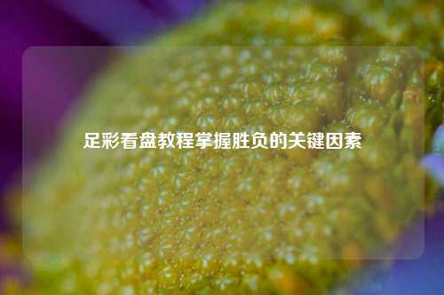 足彩看盘教程掌握胜负的关键因素