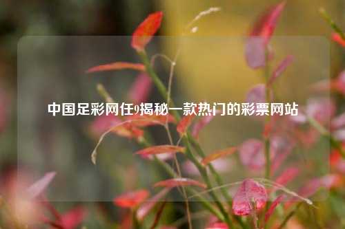 中国足彩网任9揭秘一款热门的彩票网站