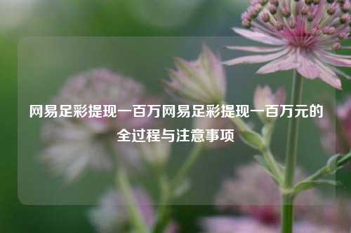 网易足彩提现一百万网易足彩提现一百万元的全过程与注意事项