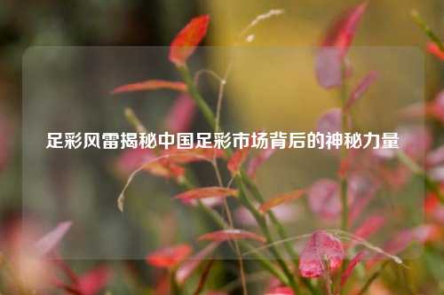 足彩风雷揭秘中国足彩市场背后的神秘力量