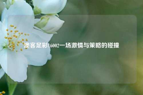 澳客足彩16002一场激情与策略的碰撞