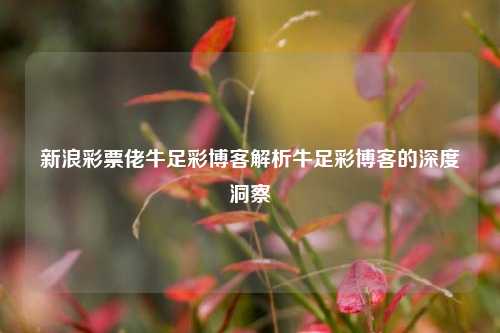 新浪彩票佬牛足彩博客解析牛足彩博客的深度洞察