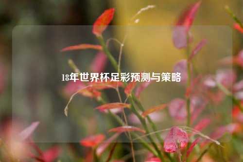 18年世界杯足彩预测与策略
