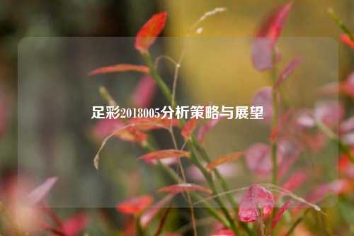 足彩2018005分析策略与展望