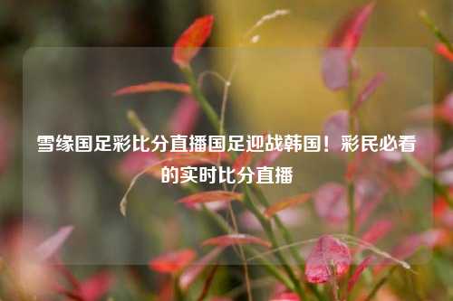雪缘国足彩比分直播国足迎战韩国！彩民必看的实时比分直播