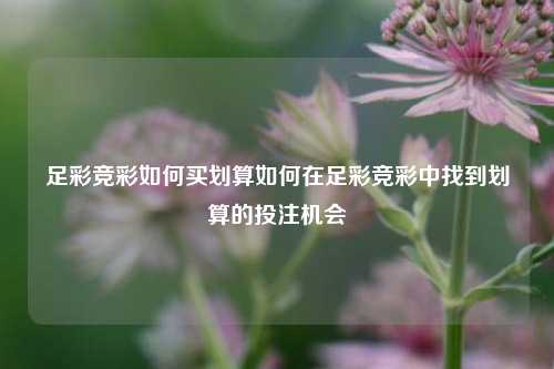 足彩竞彩如何买划算如何在足彩竞彩中找到划算的投注机会