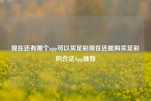 现在还有哪个app可以买足彩现在还能购买足彩的合法App推荐