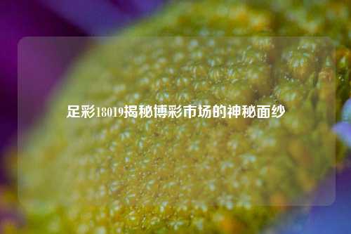 足彩18019揭秘博彩市场的神秘面纱