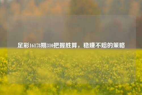 足彩16178期310把握胜算，稳赚不赔的策略