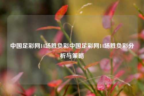 中国足彩网14场胜负彩中国足彩网14场胜负彩分析与策略
