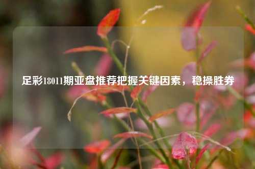 足彩18011期亚盘推荐把握关键因素，稳操胜券