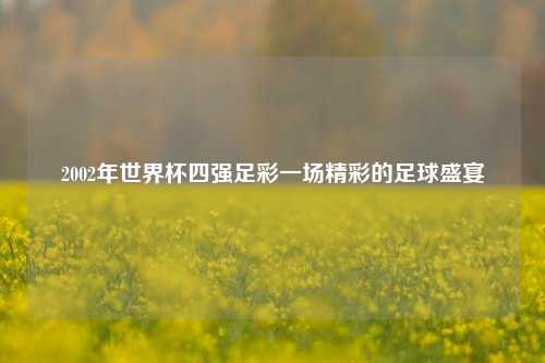 2002年世界杯四强足彩一场精彩的足球盛宴