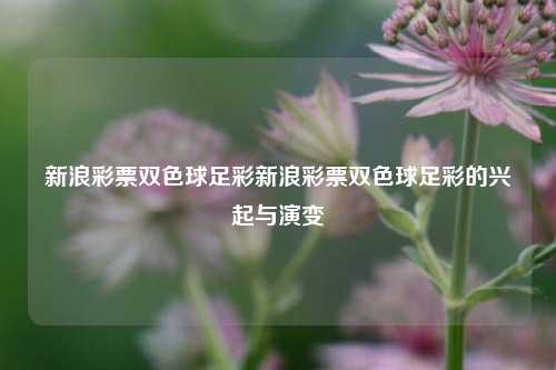 新浪彩票双色球足彩新浪彩票双色球足彩的兴起与演变