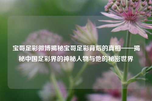 宝哥足彩微博揭秘宝哥足彩背后的真相——揭秘中国足彩界的神秘人物与他的秘密世界