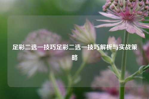 足彩二选一技巧足彩二选一技巧解析与实战策略