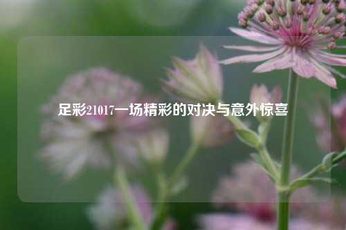 足彩21017一场精彩的对决与意外惊喜
